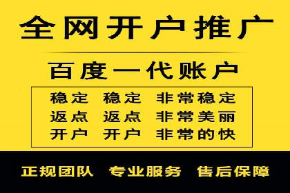 SEM广告投放案例：提升网站流量与转化